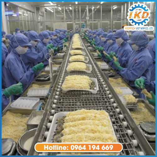Băng tải chế biến thủy sản